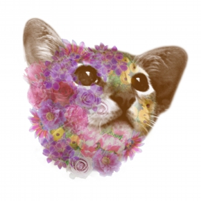 猫グッズデザイン イラスト