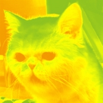 フォトショップ使用