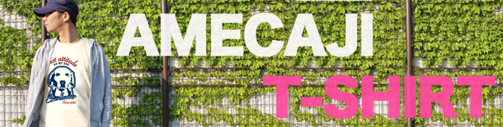 お散歩ウェアに!アメカジオリジナルTシャツ