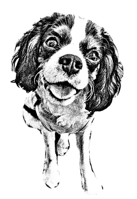 最高犬 イラスト 白黒 おしゃれ 最高の動物画像