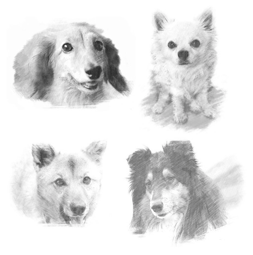 犬猫 ペットの鉛筆画 似顔絵オリジナルペットグッズ