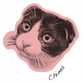 猫グッズデザインイラスト